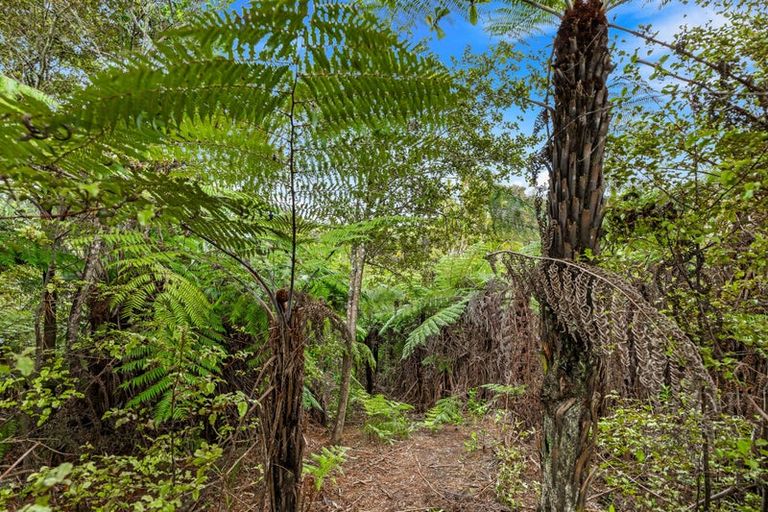 Photo of property in 75 Glenvar Ridge Road, Long Bay, Auckland, 0630