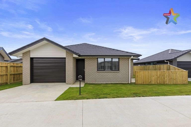 Photo of property in 71b Hinemoa Street, Levin, 5510