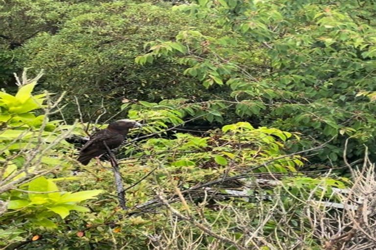 Photo of property in 39 Norwich Street, Wilton, Wellington, 6012