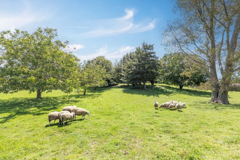 Photo of property in 15 Pinedale Road, Lichfield, Putaruru, 3482