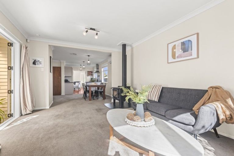 Photo of property in 12 Snowdon Avenue, Terrace End, Palmerston North, 4410