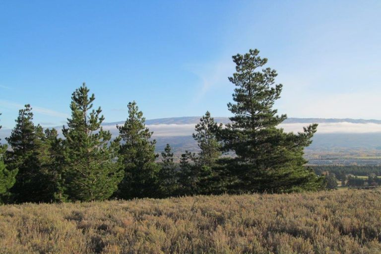 Photo of property in 94 Hillview Road, Alexandra, 9391