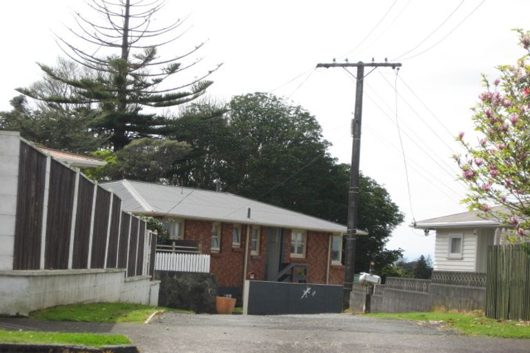 Photo of property in 17a Barclay Street, Ferndale, New Plymouth, 4310