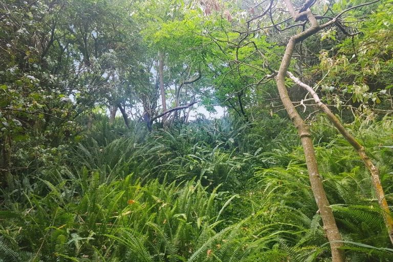 Photo of property in 914 Whakapirau Road, Whakapirau, Maungaturoto, 0583