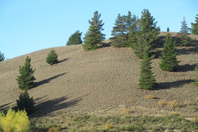 Photo of property in 94 Hillview Road, Alexandra, 9391