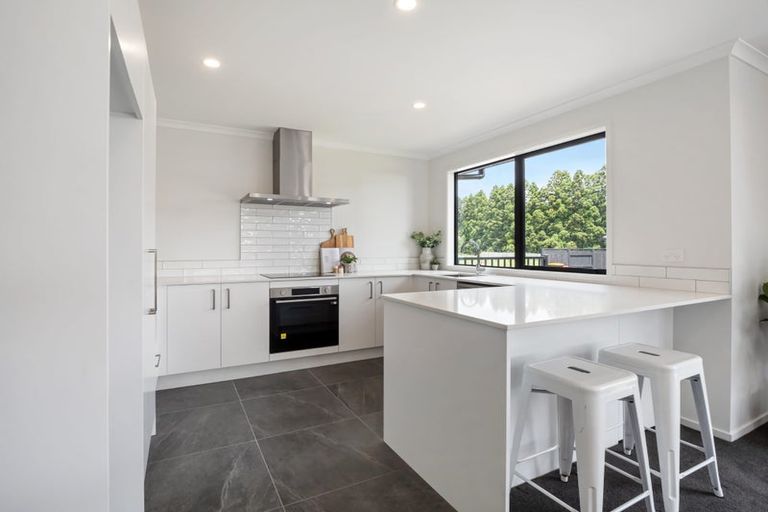 Photo of property in 219 Adler Drive, Ohauiti, Tauranga, 3112