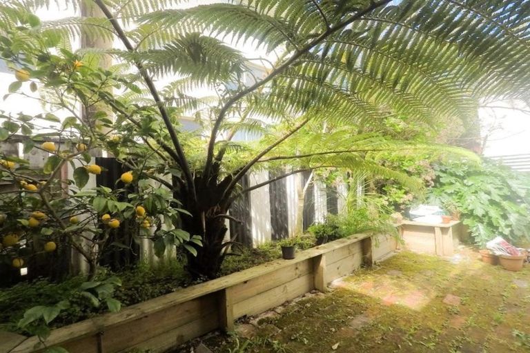 Photo of property in 24 Normanby Street, Newtown, Wellington, 6021