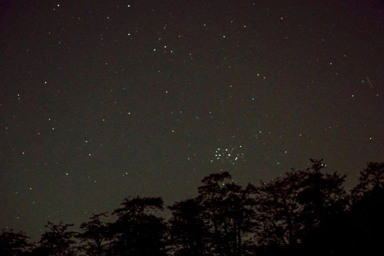 Photo of property in 22a Martin Place, Whakatane, 3120