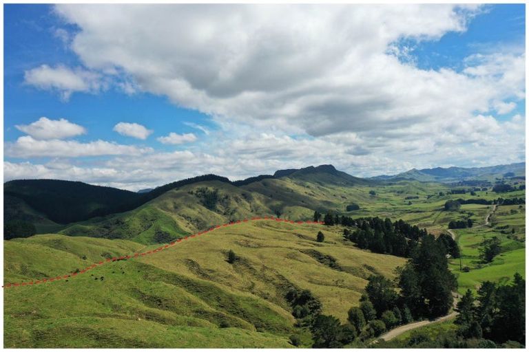 Photo of property in 3319 Whakarau Road, Motu, Te Karaka, 4092