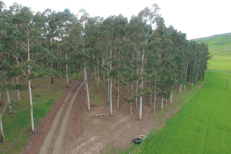 Photo of property in 114a Coal Pit Road, Enfield, Oamaru, 9491