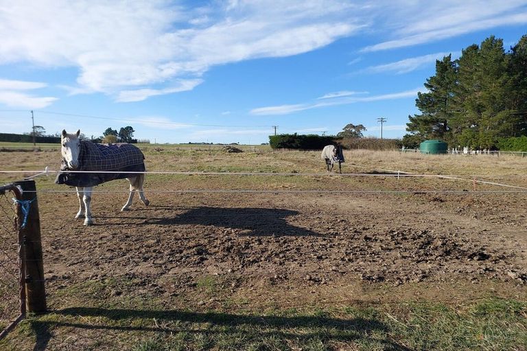 Photo of property in 8 Minnie Street, Waimate, 7980