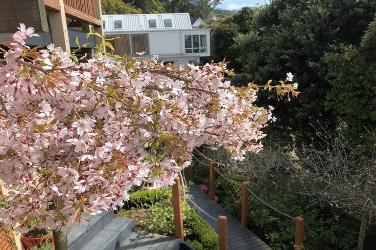 Photo of property in 5 Jefferson Street, Brooklyn, Wellington, 6021