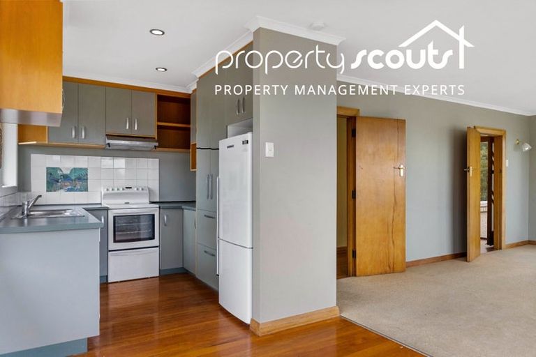 Photo of property in 7 Northfield Avenue, Opoho, Dunedin, 9010