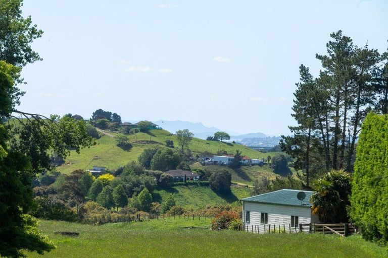 Photo of property in 180b Crawford Road, Minden, Tauranga, 3171