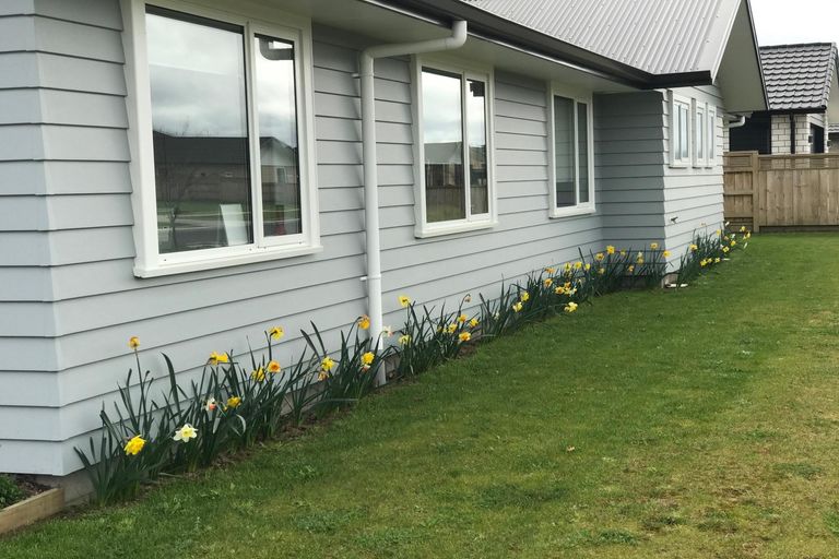 Photo of property in 53 Kingdon Street, Leamington, Cambridge, 3432