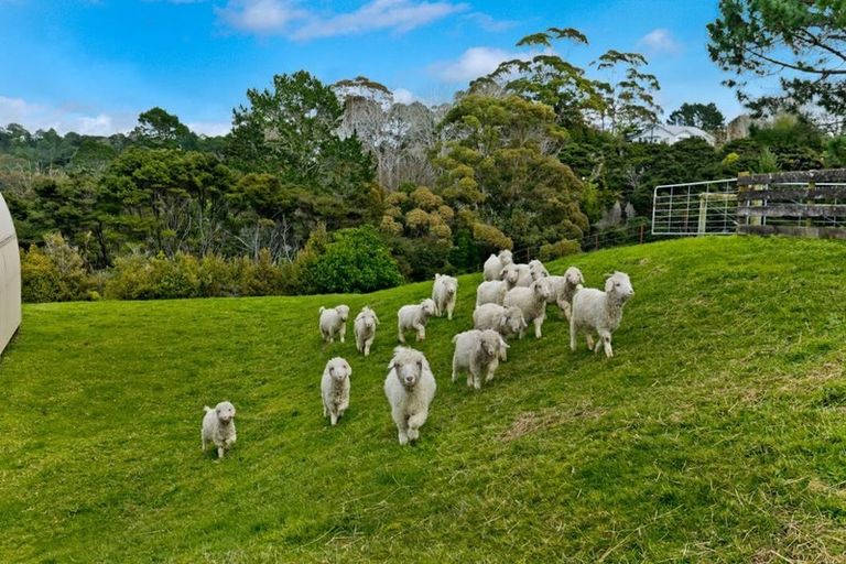 Photo of property in 291 Paremoremo Road, Paremoremo, Auckland, 0632