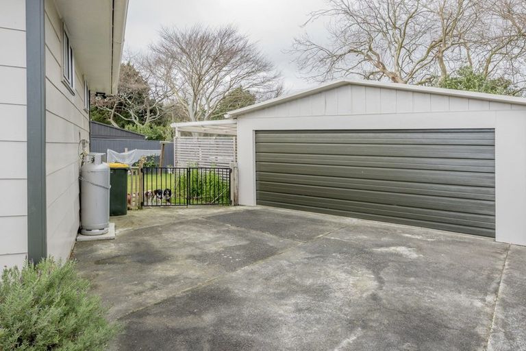 Photo of property in 17 Strathmore Avenue, Levin, 5510