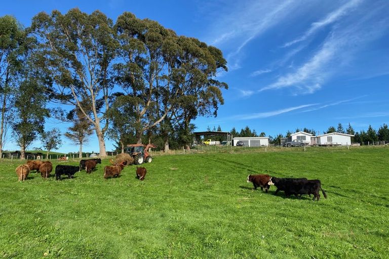 Photo of property in 1302 Pongakawa Bush Road, Pongakawa, Te Puke, 3186