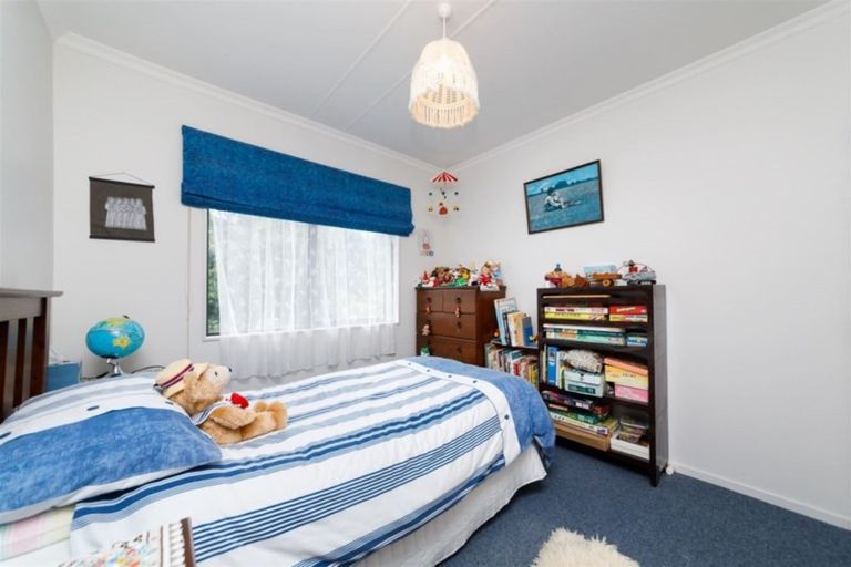 Photo of property in 101 Lincoln Street, Ashhurst, 4810