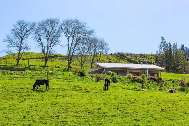 Photo of property in 512 Waitetuna Valley Road, Waitetuna, Raglan, 3295