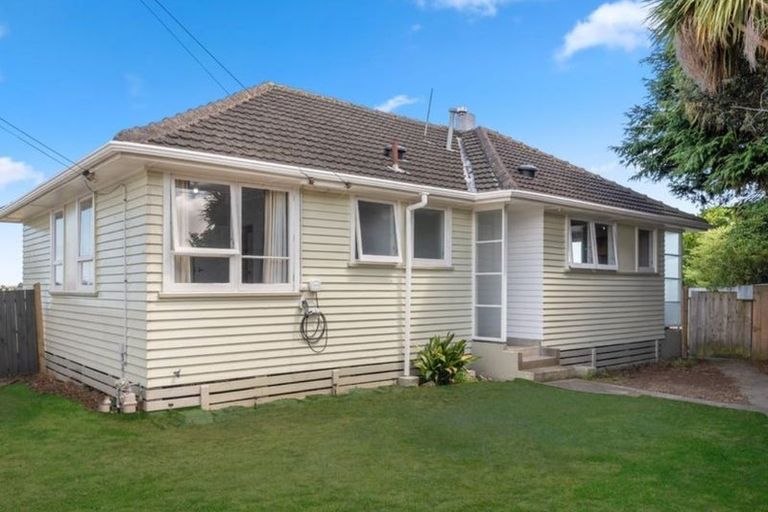 Photo of property in 24 Mahoe Street, Levin, 5510