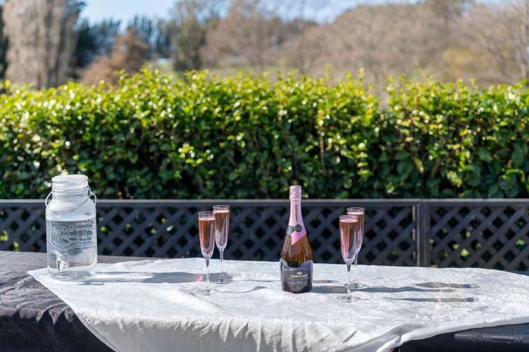 Photo of property in 297 Homestead Road, Weston, Oamaru, 9491