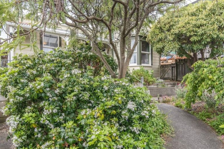 Photo of property in 97 Elizabeth Street, Mount Victoria, Wellington, 6011