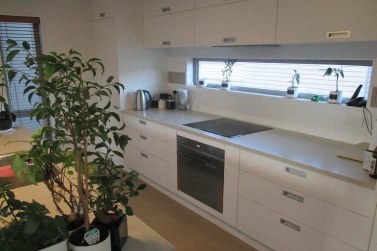 Photo of property in 3/63 Burke Street, Addington, Christchurch, 8024