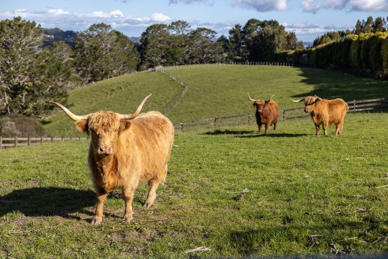 Photo of property in 601 Ridge Road, Riverhead, Albany, 0793