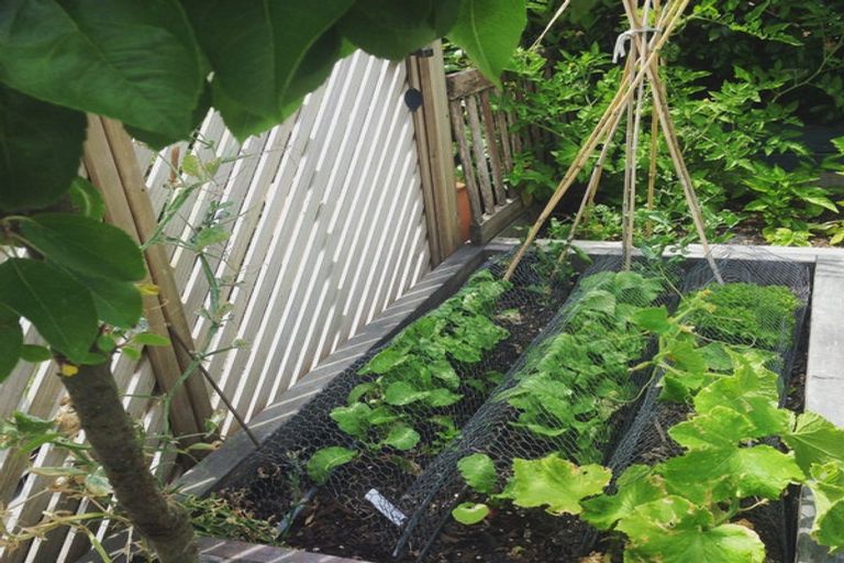 Photo of property in 42 Glamis Avenue, Strathmore Park, Wellington, 6022