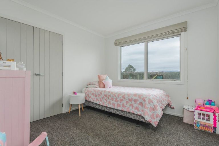 Photo of property in 487 Makino Road, Feilding, 4779