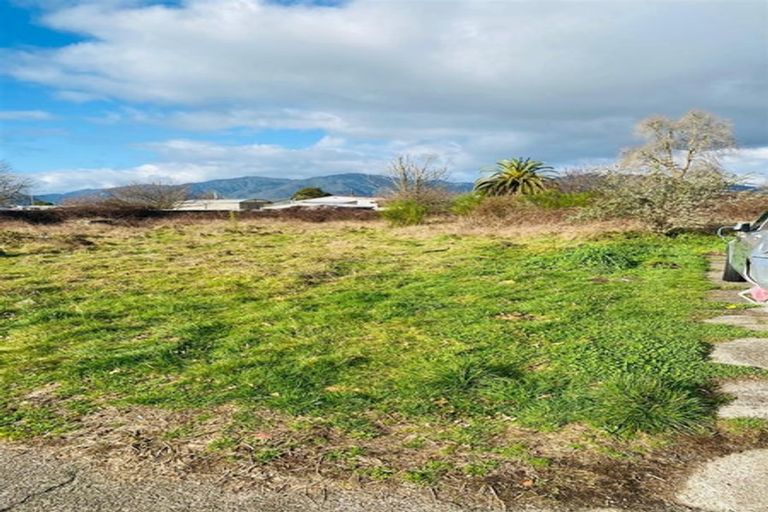 Photo of property in 125 Pine Drive, Murupara, 3025