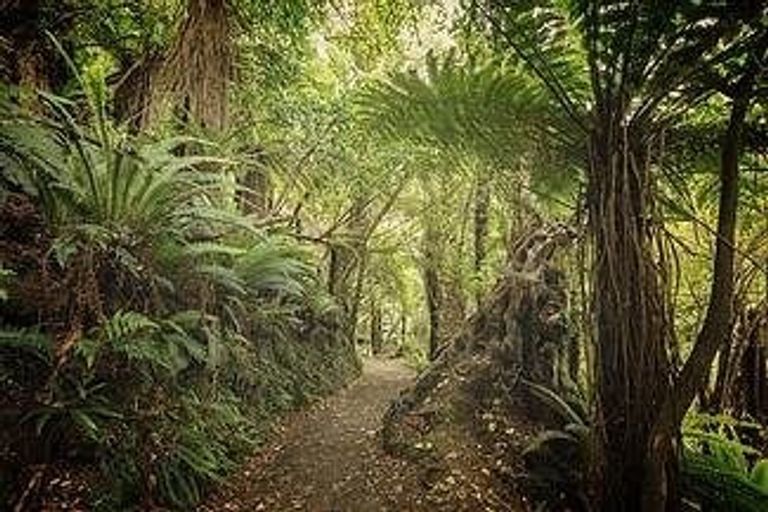 Photo of property in 269 Roberts Road, Maungatautari, Cambridge, 3494