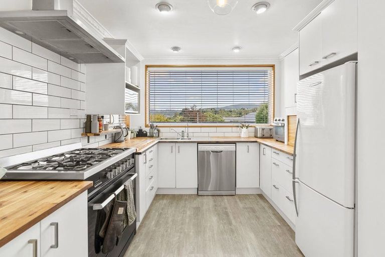 Photo of property in 52 Sunbury Street, Andersons Bay, Dunedin, 9013