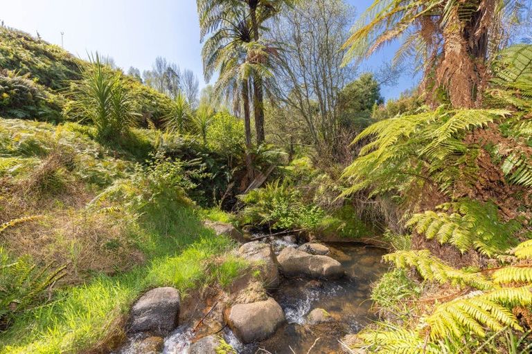 Photo of property in 183 Te Tahi Road, Puketotara, Te Awamutu, 3876