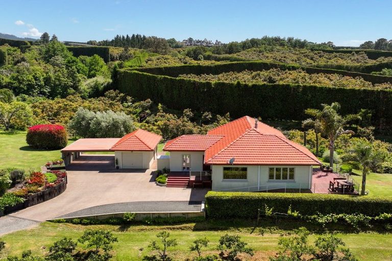 Photo of property in 11b Stokes Road, Tahawai, Katikati, 3170