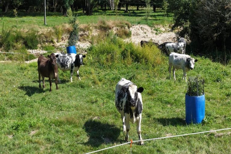 Photo of property in 927 Waiwhero Road, Ngatimoti, Motueka, 7196