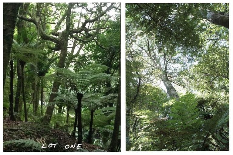 Photo of property in 540 Kawakawa-orere Road, Orere Point, Papakura, 2585