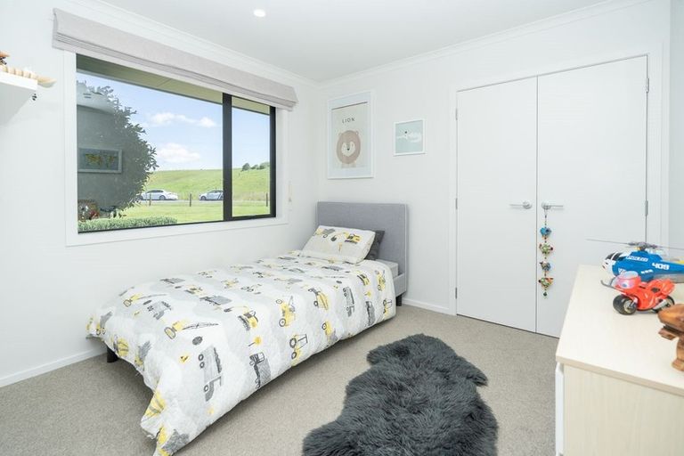 Photo of property in 133 Robson Road, Ngahinapouri, Hamilton, 3290