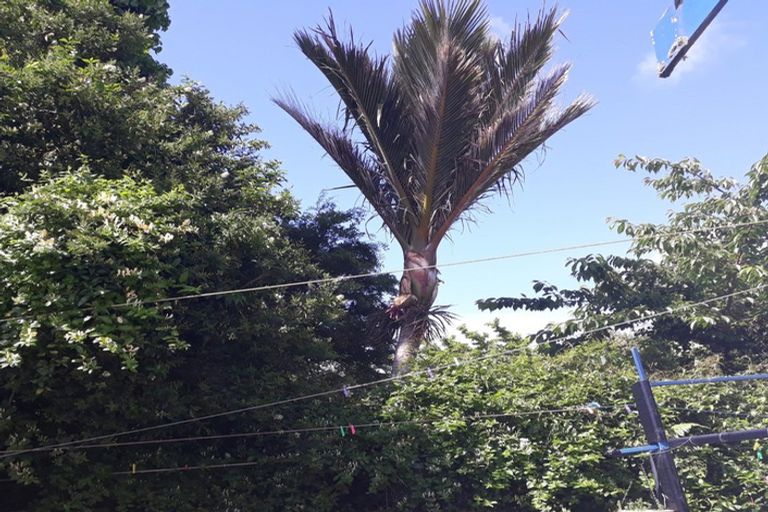 Photo of property in 26 Bentham Street, Westport, 7825