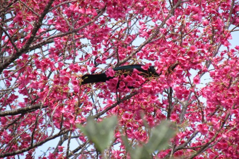 Photo of property in 61 Nuhaka Opoutama Road, Nuhaka, 4198