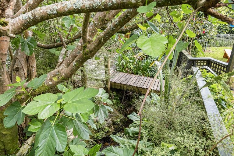 Photo of property in 155 Hutchinson Avenue, New Lynn, Auckland, 0600