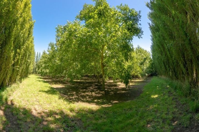 Photo of property in 22 Madeleys Road, Clarkville, Kaiapoi, 7692