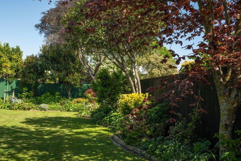 Photo of property in 44 Westhaven Place, Redwoodtown, Blenheim, 7201