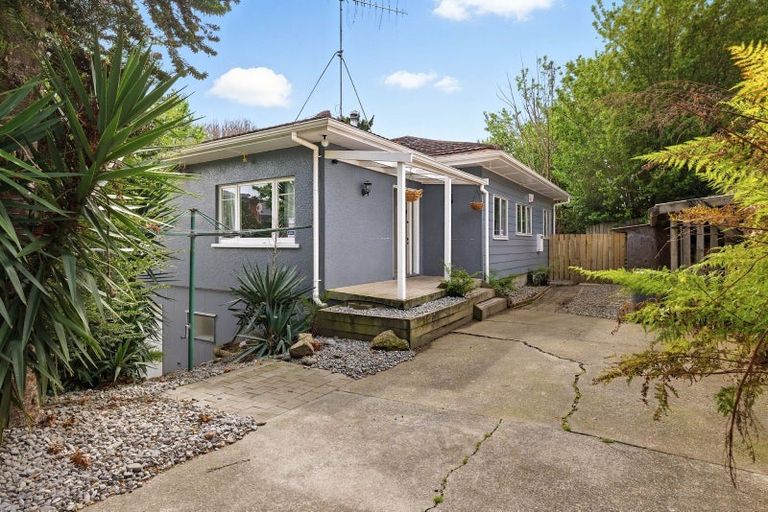 Photo of property in 17 Harrier Street, Parkvale, Tauranga, 3112