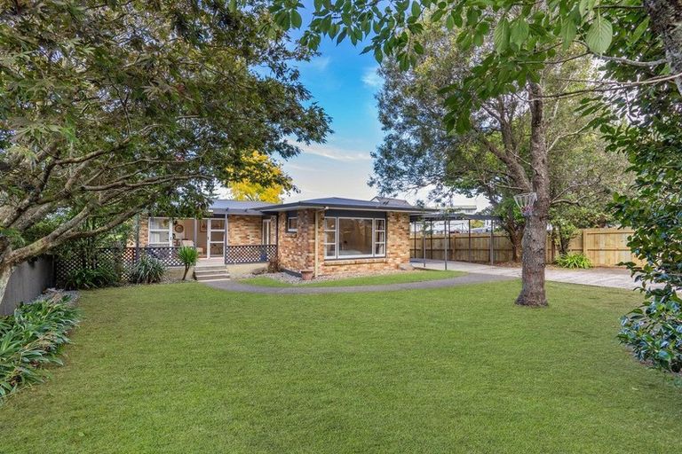 Photo of property in 52 Paine Street, Judea, Tauranga, 3110