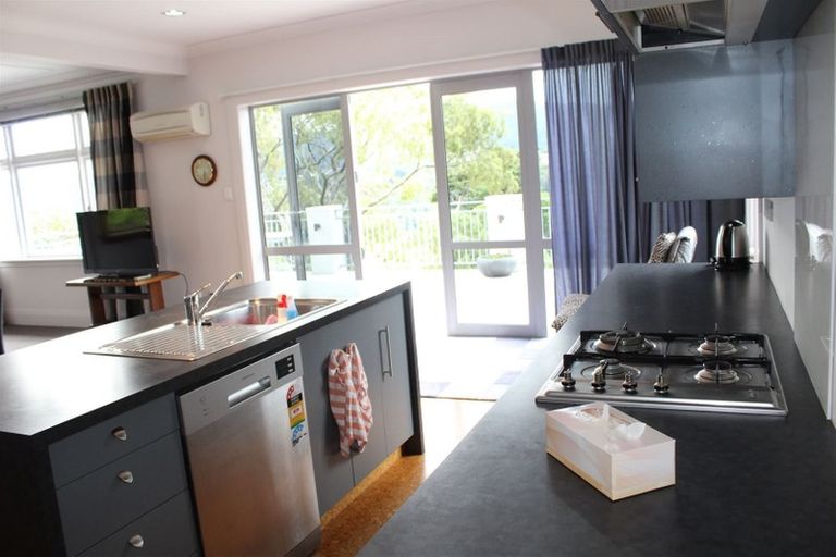 Photo of property in 113 Signal Hill Road, Opoho, Dunedin, 9010