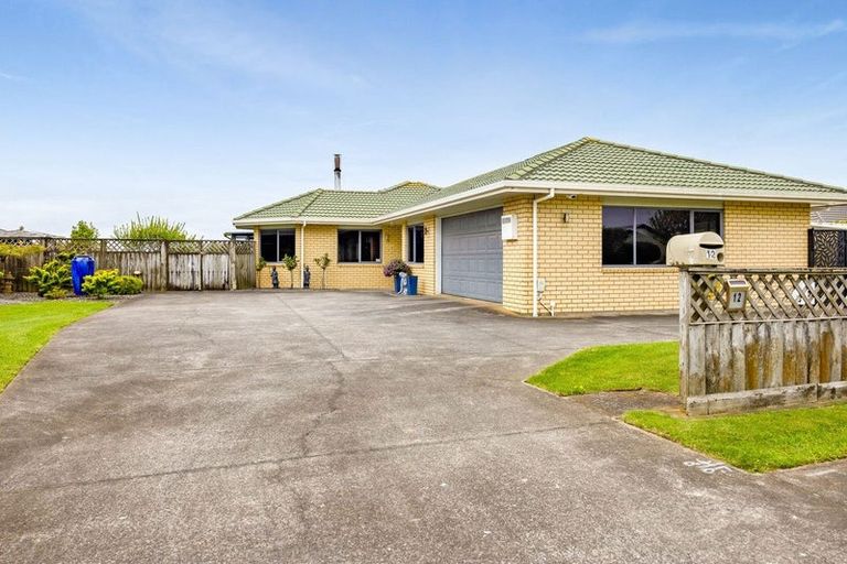 Photo of property in 12 Fantham Street, Hawera, 4610