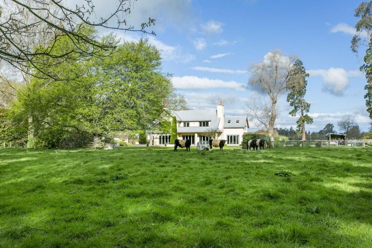 Photo of property in 100 Beach Road East, Elgin, Ashburton, 7777