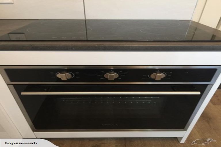 Photo of property in 233 Clarkin Road, Fairfield, Hamilton, 3214